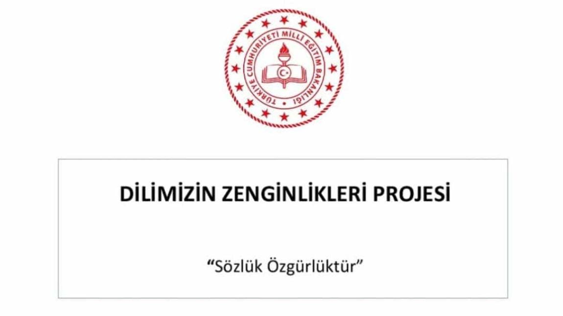 DİLİMİZİN ZENGİNLİKLERİ PROJESİ PANO ÇALIŞMASI